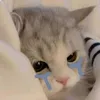 linhlun_24