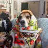 kbeaglegirl.0425
