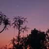 storysad05jowo