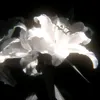 sprvt00
