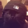 pvvwojtass