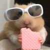 kiaraww_oo
