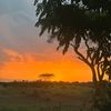 BuyTrend _kenya