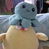 notaturtle0