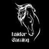 haidergaming744