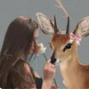 9_.z4li