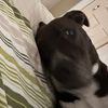 jerksfnx