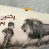 user4511846840226