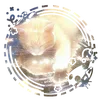 omp_omplol