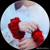 khursheedkhan9486
