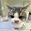 silvi_agzztheivii