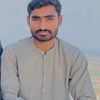 mubashirahmadgondal8186