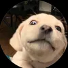 lmsagn_