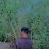 sadew Akash
