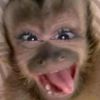 babyoip2