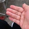 maratus.sholichah4