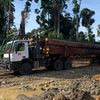 Logging Kalimantan