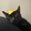 spikeontopp