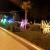 nail.fira