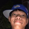alndv1