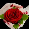 fatema.jannat2128