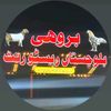 saddam.hussein.z.r