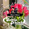 sabilunajah_33