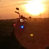 sneg1r_