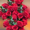 shama.khan86