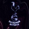 footballfanspurs2
