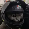 tubulure