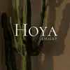 .hoya33