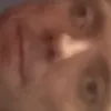 usermygronm51b