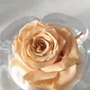 mayabeille42