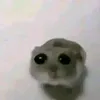 tklkanat