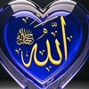 user29228614108135