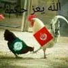omamran690