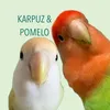 karpomlove