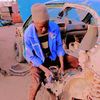 anasjibrin50