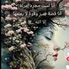 baraa.ghani