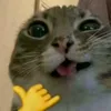 fuckng.x.x.xxx