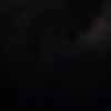 reyna.elizabeth.u
