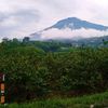 putrasulungfaram19