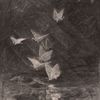 7ory_1313