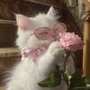 tiffanny860