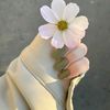 drouch_samira