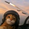 phriey.ck31