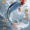 user3010684328827