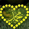 mohammadomaryou43