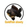 goldfishslowly